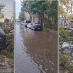Furtuna a doborât copaci și a inundat mai multe străzi din Timișoara