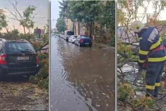 Furtuna a doborât copaci și a inundat mai multe străzi din Timișoara
