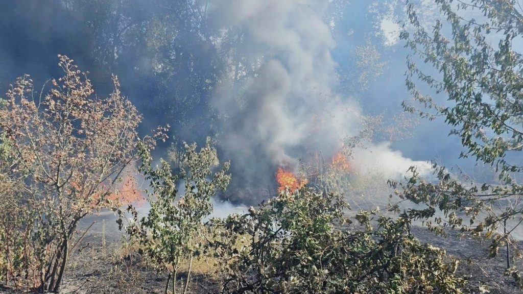 Incendiu puternic la Lugoj, unde trei șoproane, un depozit și o mașină au fost mistuite de flăcări