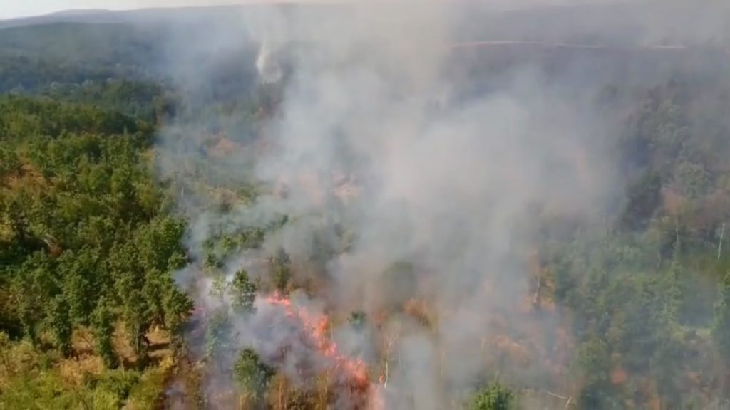 Incendii de vegetație în Timiș care au afectat peste 280 de hectare