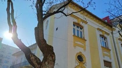 Concurs pentru directorii școlilor din Timiș organizat de ISJ Timiș