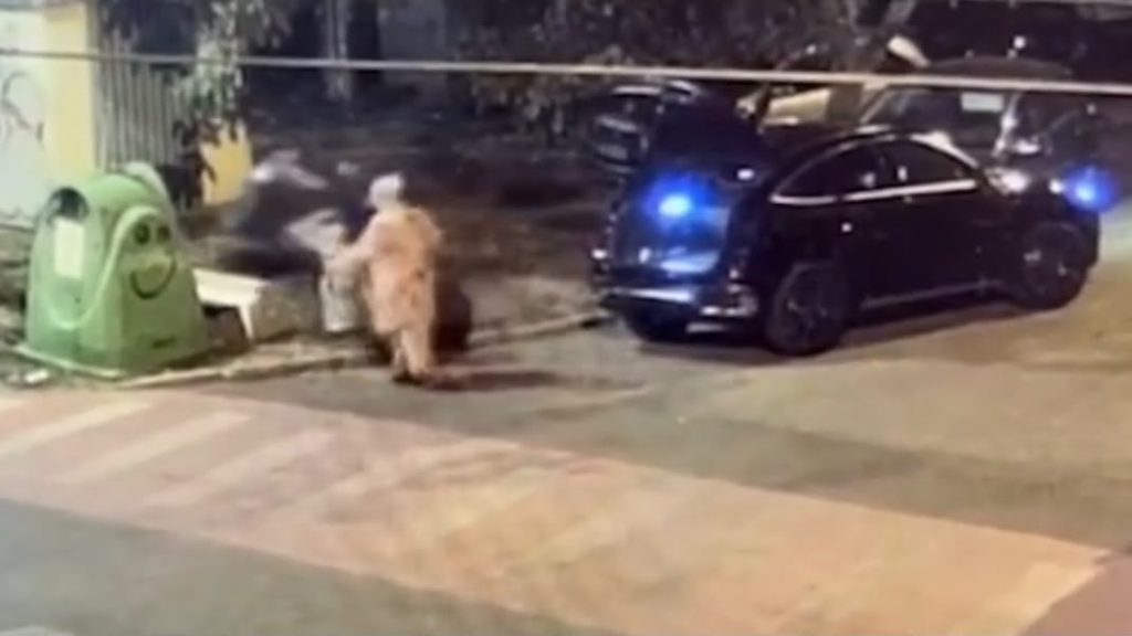 Cu Mercedesul la aruncat gunoi: Amendă uriașă la Timișoara