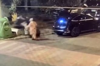 Cu Mercedesul la aruncat gunoi: Amendă uriașă la Timișoara