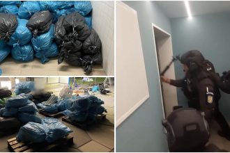 Percheziții DIICOT la Timișoara într-un dosar de trafic internațional de droguri.