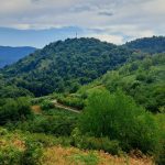 Peisaje spectaculoase și trasee montane în zona Tomești - Transluncani din județul Timiș