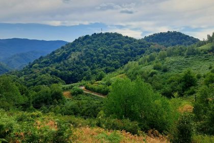 Peisaje spectaculoase și trasee montane în zona Tomești - Transluncani din județul Timiș