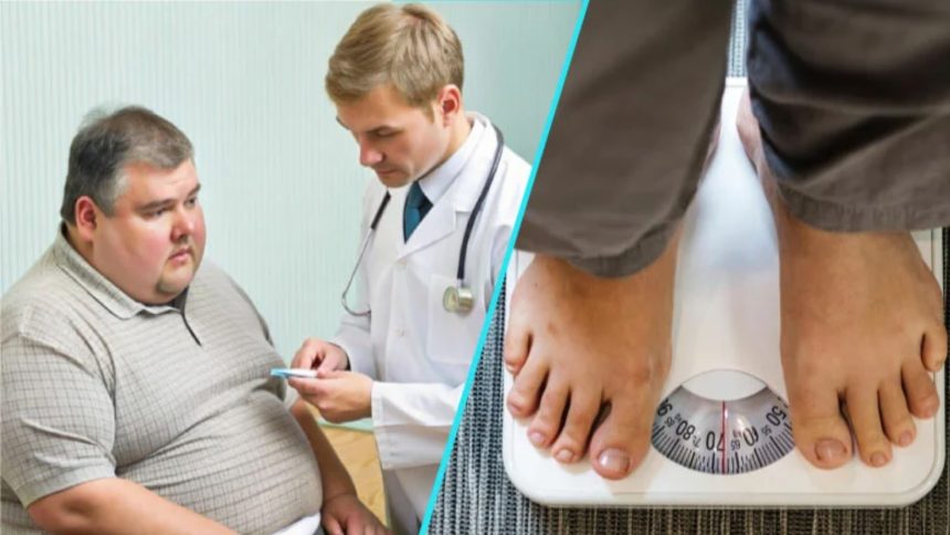 Lansarea programului de master în prevenirea și managementul integrat al obezității la UMF „Victor Babeș” din Timișoara