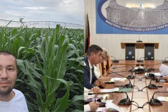 Fermierul Alexander Degianski si situatia culturilor agricole afectate de seceta extrema in judetul Timis