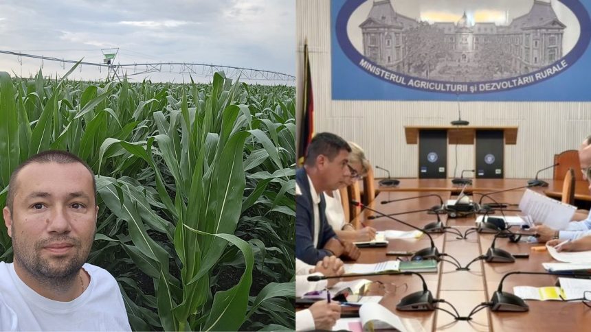 Fermierul Alexander Degianski si situatia culturilor agricole afectate de seceta extrema in judetul Timis