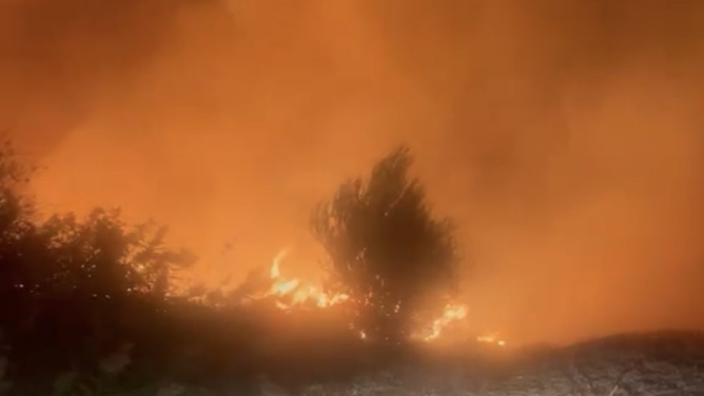 Flăcări puternice în incendiul de vegetație izbucnit între Gelu și Satchinez, în Timiș