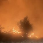 Flăcări puternice în incendiul de vegetație izbucnit între Gelu și Satchinez, în Timiș