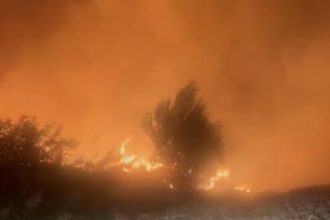 Flăcări puternice în incendiul de vegetație izbucnit între Gelu și Satchinez, în Timiș