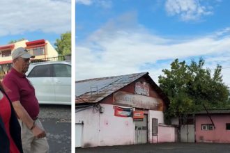 Paula Romocean, inspecție la noul parc de la Lacul Balaurul