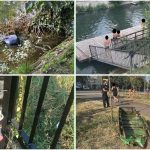 Scăldat și gunoaie în Bega: Amenzi uriașe date de Poliția Locală Timișoara