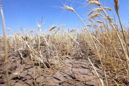 Fenomenul El Niño amenință să aducă temperaturi record și fenomene extreme în mai multe regiuni ale lumii