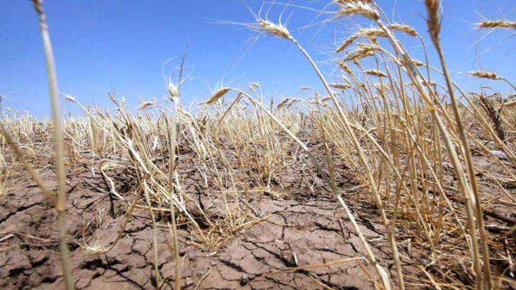 Fenomenul El Niño amenință să aducă temperaturi record și fenomene extreme în mai multe regiuni ale lumii