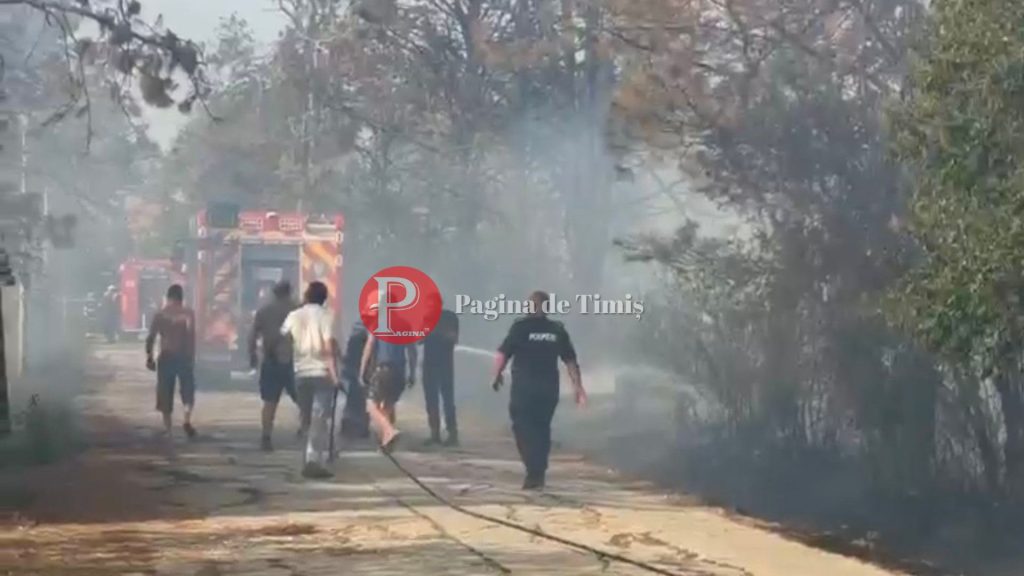 Incendiu de vegetație în apropierea Hergheliei Izvin, cu flăcări aproape de zona grajdurilor