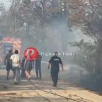 Incendiu de vegetație în apropierea Hergheliei Izvin, cu flăcări aproape de zona grajdurilor
