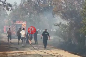 Incendiu de vegetație în apropierea Hergheliei Izvin, cu flăcări aproape de zona grajdurilor