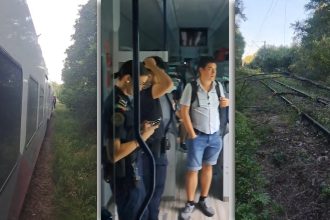 Tren blocat în mijlocul pădurii, în Caraș-Severin, după ce crengi au căzut peste calea ferată