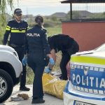 Cadavru descoperit în subsolul unui bloc din Timișoara, trupul ar fi fost devorat de șobolani.