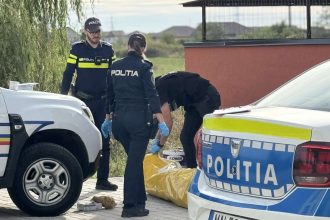 Cadavru descoperit în subsolul unui bloc din Timișoara, trupul ar fi fost devorat de șobolani.