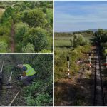 Linia ferată Caransebeș – Oțelu Roșu, pregătită de redeschidere
