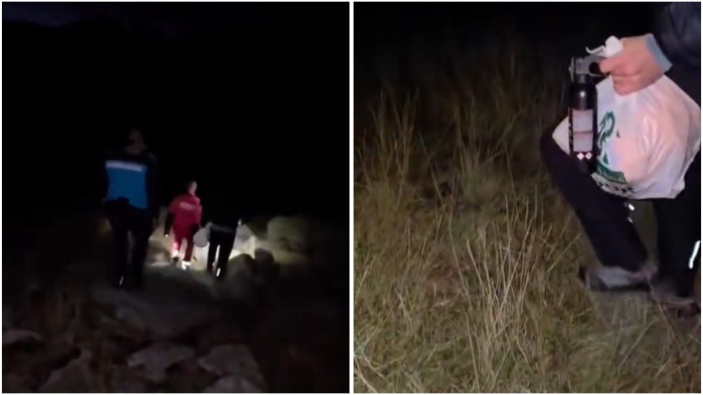 Alertă în munții din Caraș-Severin: Urs observat lângă cortul a doi turiști