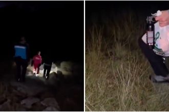 Alertă în munții din Caraș-Severin: Urs observat lângă cortul a doi turiști