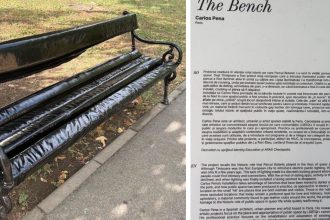 Scandal la Timișoara: Instalație LGBTQ+ controversată în Parcul Botanic