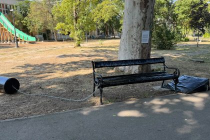 Organizatorii Bienalei Beta răspund criticilor: Instalația LGBTQ+ din Parcul Botanic nu este un proiect al Primăriei Timișoara