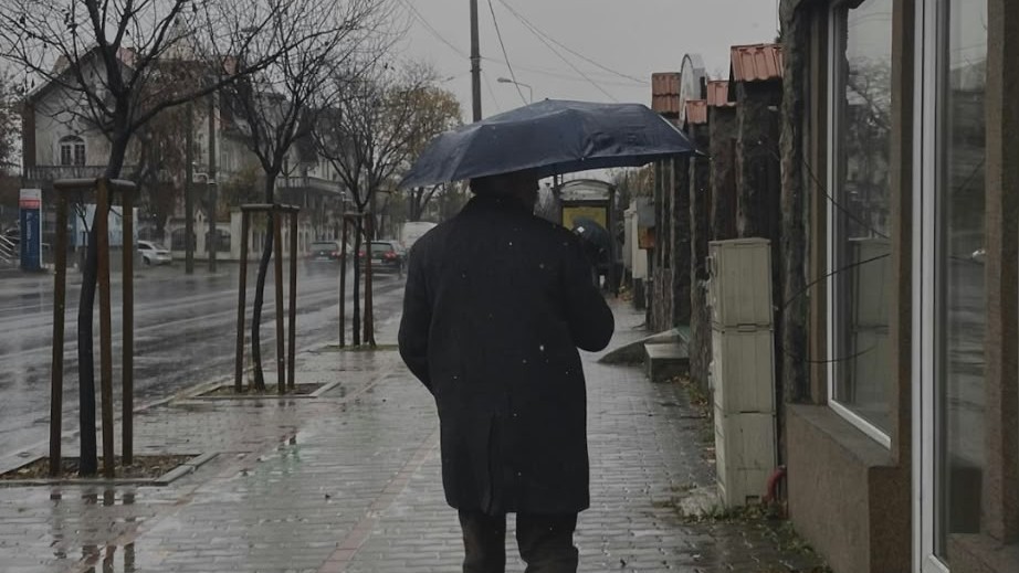 Val de frig, ploi și vânt puternic la Timișoara și în țară