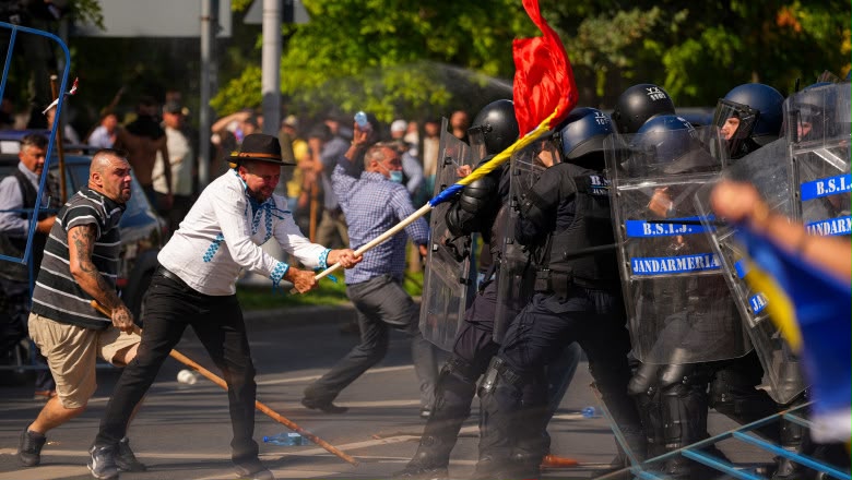 Percheziții în Timiș după violențele de la protestul ciobanilor