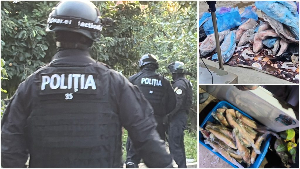 Dosar de braconaj în Caraș-Severin: O tonă de pește vândută fără acte