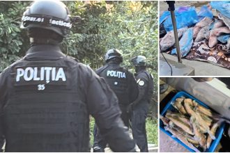 Dosar de braconaj în Caraș-Severin: O tonă de pește vândută fără acte