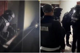 Trafic de droguri în vestul țării: Canabis, MDMA și cristale vândute de doi tineri