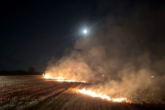 Cinci incendii de vegetație într-o după-amiază în Timiș: Peste 25 de hectare arse