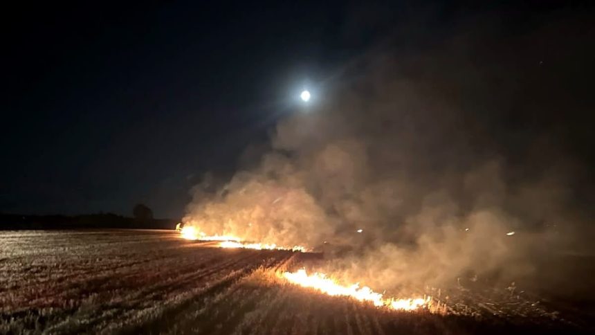 Cinci incendii de vegetație într-o după-amiază în Timiș: Peste 25 de hectare arse