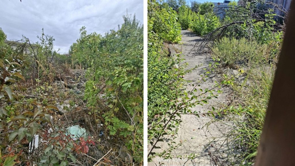 Amenzi de peste 180.000 de lei la Timișoara pentru terenurile lăsate în paragină