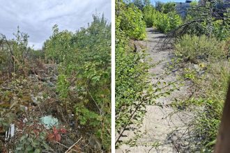 Amenzi de peste 180.000 de lei la Timișoara pentru terenurile lăsate în paragină