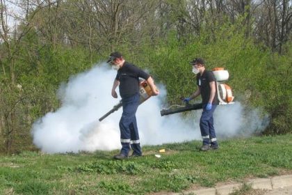 Campanie de dezinsecție în Timișoara: Stropiri de noapte împotriva țânțarilor