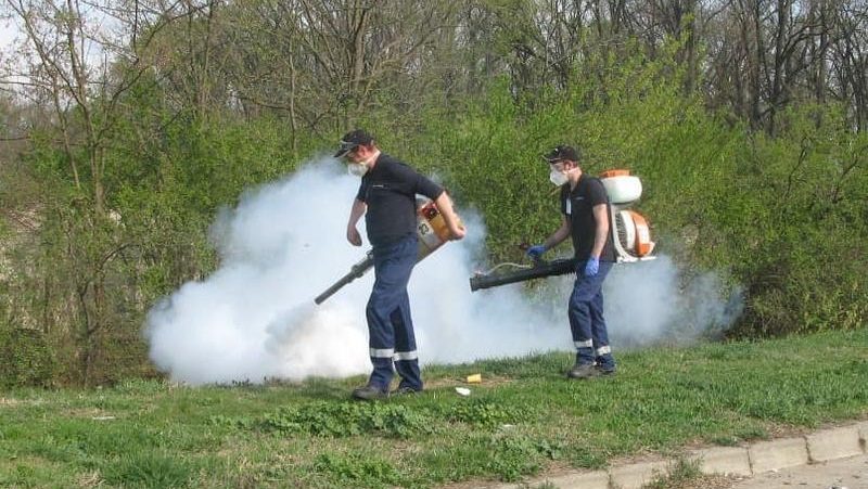 Campanie de dezinsecție în Timișoara: Stropiri de noapte împotriva țânțarilor