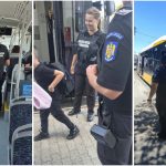 Razie a polițiștilor locali în autobuzele și tramvaiele din Timișoara