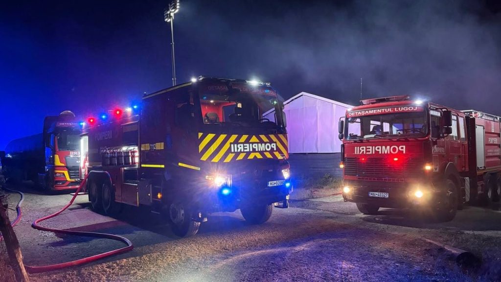 Incendiu puternic la o hală de prelucrare a lemnului din Victor Vlad Delamarina, în Timiș