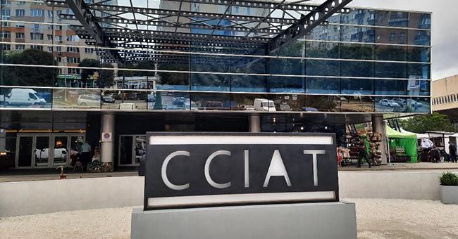 CCIAT deschide noi oportunități de afaceri între Timiș și China