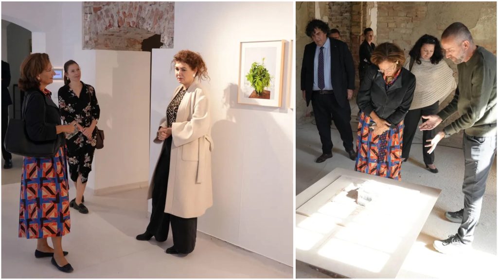 Trandafirii lui Mühle ar putea reveni la Timișoara: Ambasadoarea Austriei promite sprijin pentru găsirea soiurilor originale