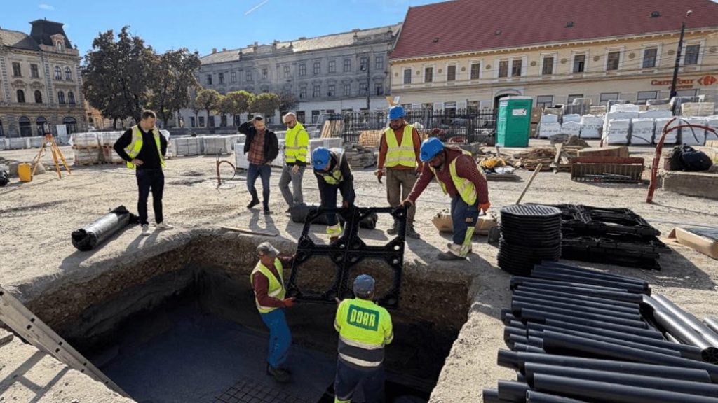 : Sistem special pentru protejarea rădăcinilor arborilor din Piața Traian, Timișoara