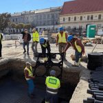 : Sistem special pentru protejarea rădăcinilor arborilor din Piața Traian, Timișoara