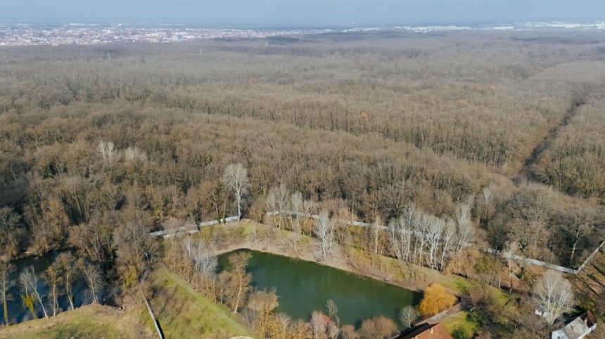 Investiție de 16,7 milioane de lei pentru amenajarea Pădurii Verzi