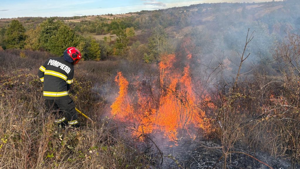 Incendii de vegetație în Timiș. Zeci de hectare au fost afectate